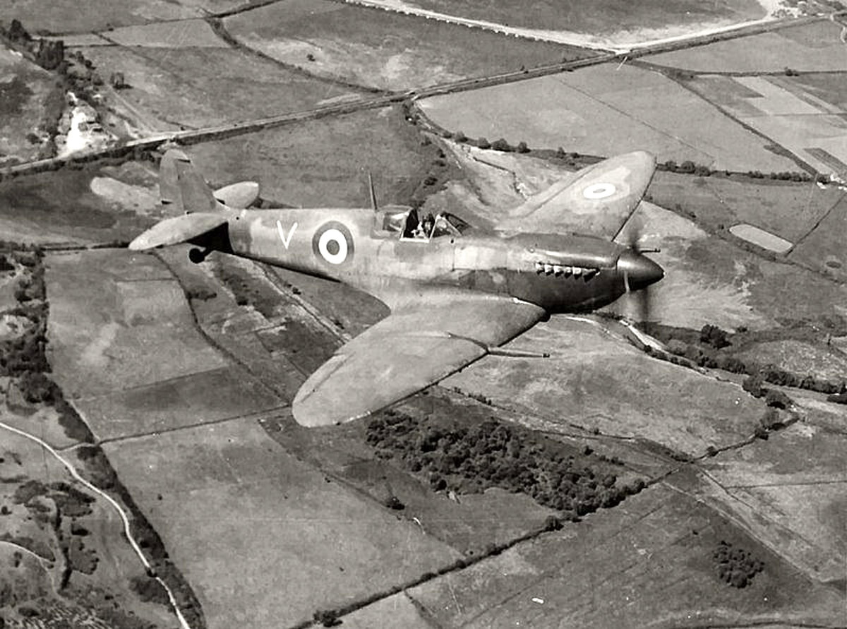Spitfire Français Mk IX Corse 1943 - [ICM] 1/48 - Màj 03/09 - Maquette finie 1205050304491124199809876