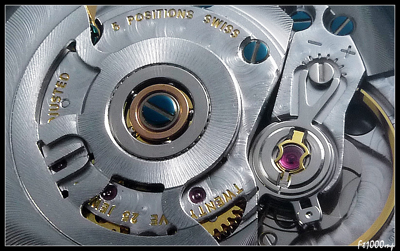  Attention les yeux : sujet dédié aux macros de vos montres.... tome II - Page 32 1205080910351388899822086