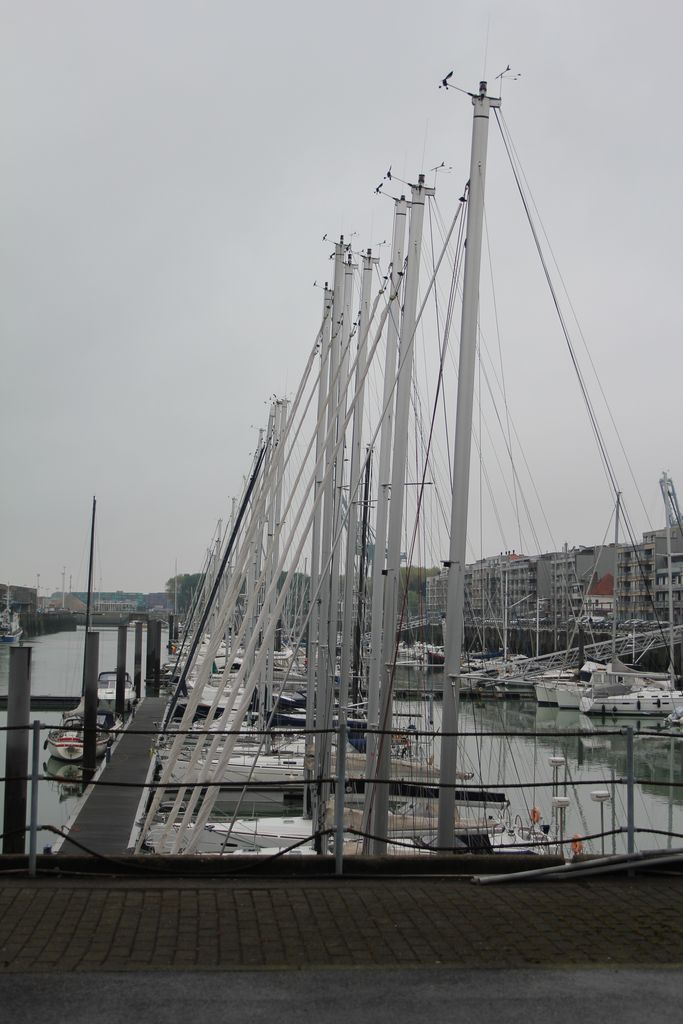 Visite à Zeebrugge, et à sa base navale 1205131205561394009845715