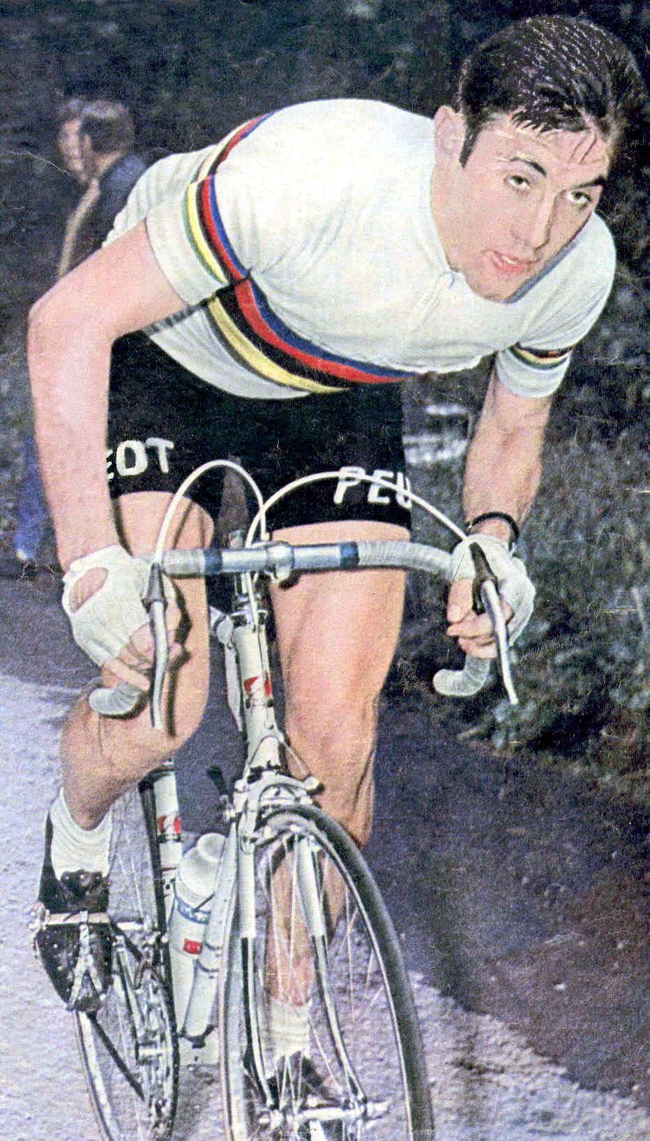 eMerckx Eddy 5