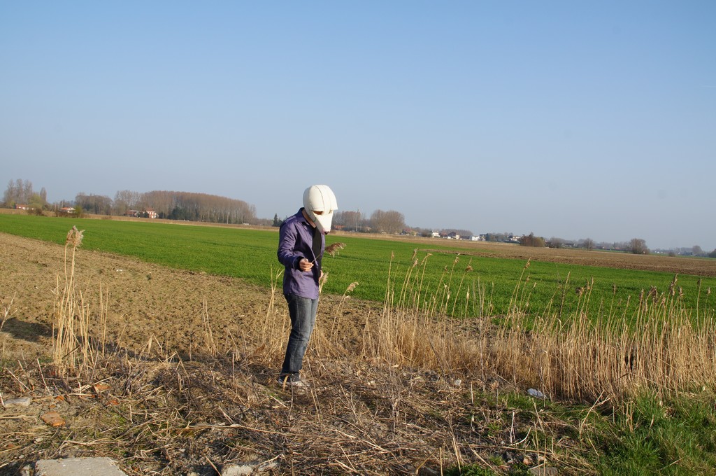 sÃ©rie2DSC04743 petit format