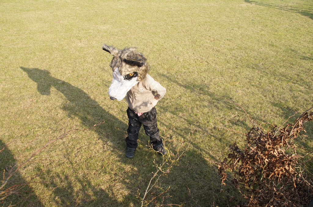 6DSC04681 grand format