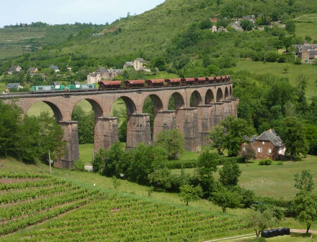 P1150307 (2&Acirc;&deg;