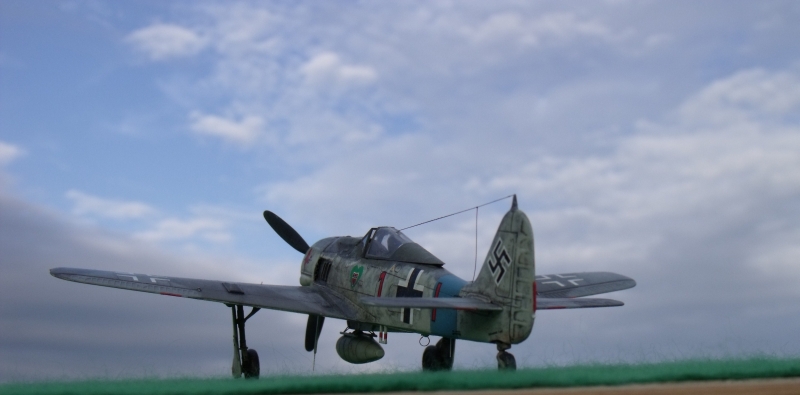 [Revell] Fw190 A8 GrünHertz Dortenmann  120611013359947079968194