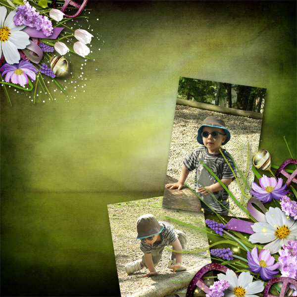 enchanted_forest1