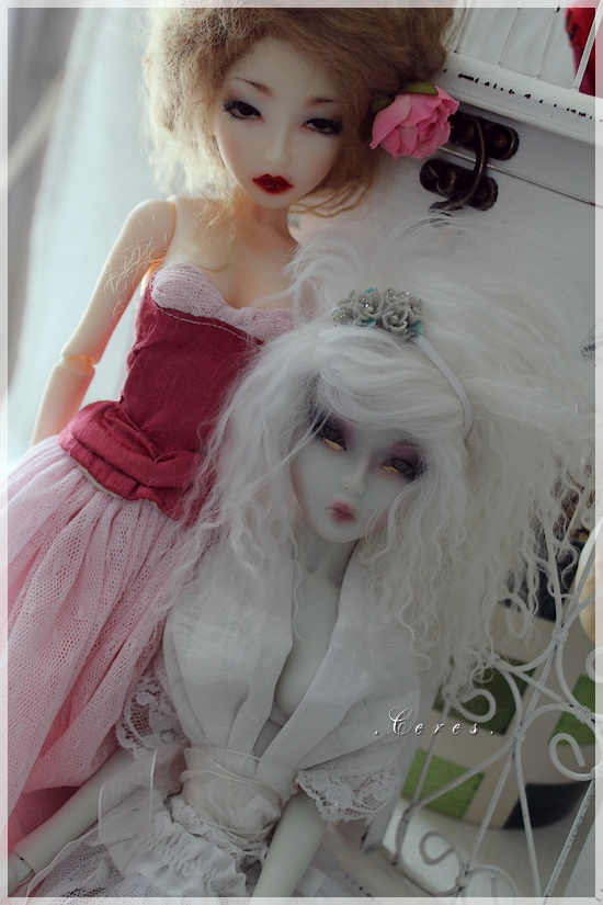 Sweet casual - [ Mayfair  Dark Tales Dolls] 1206200557544628410007606