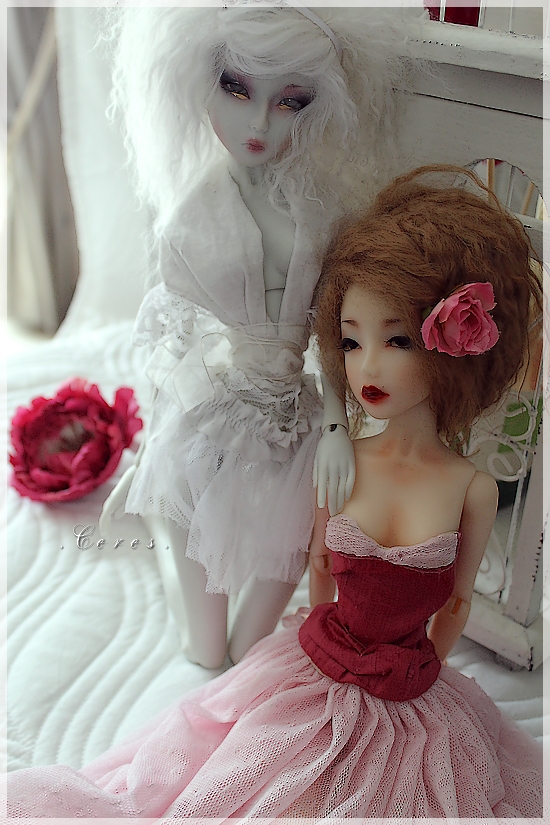 Sweet casual - [ Mayfair  Dark Tales Dolls] 1206200557544628410007607
