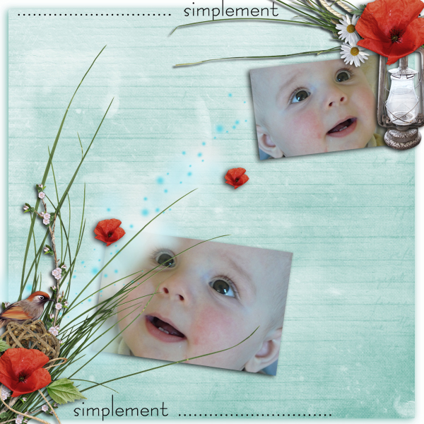 Violette-Scrap_Un air de campagne_papier1
