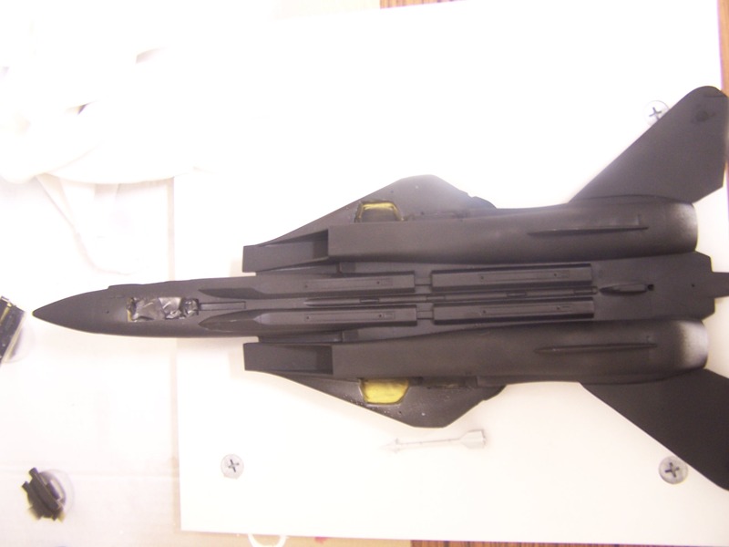 F14 Black Tomcat Revell 1/48  12070105433714813110051512
