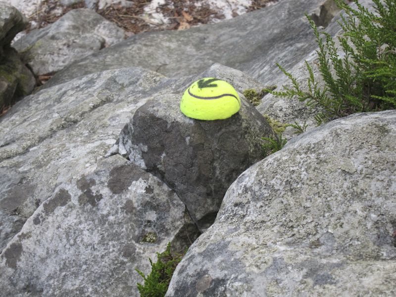 20120701_Poigny 0002