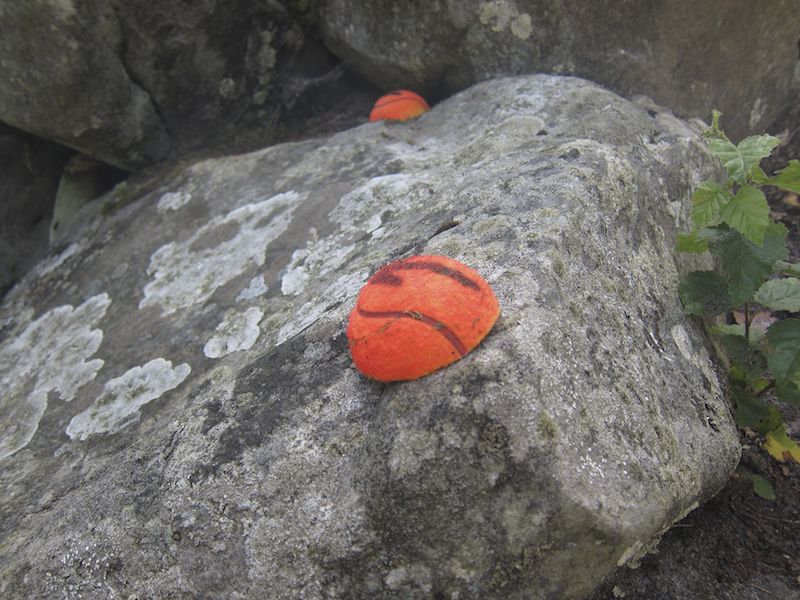 20120701_Poigny 0045