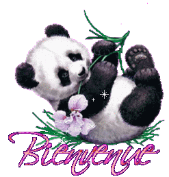 panda-fleur-scint