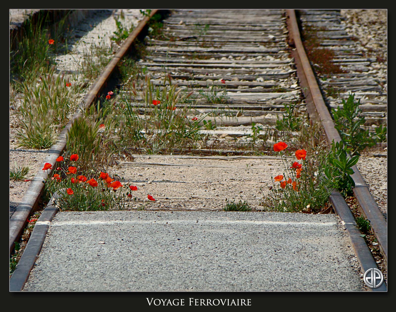 Voyage-Ferroviaire-001