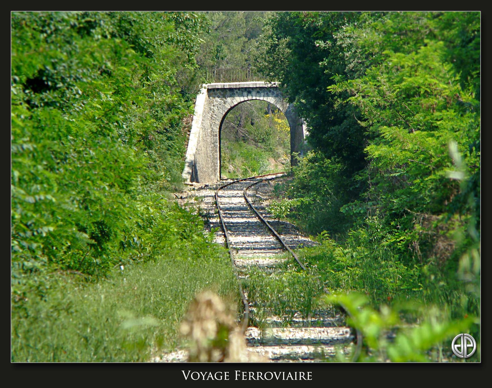 Voyage-Ferroviaire-002