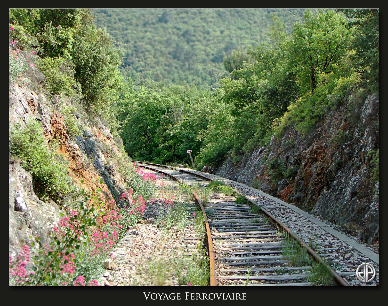 Voyage-Ferroviaire-003