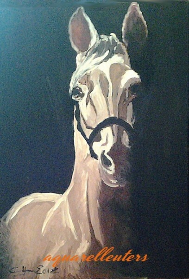 Une peinture de votre cheval pour noël !! 12071309493115141110099078