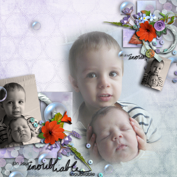 little_ladybug3