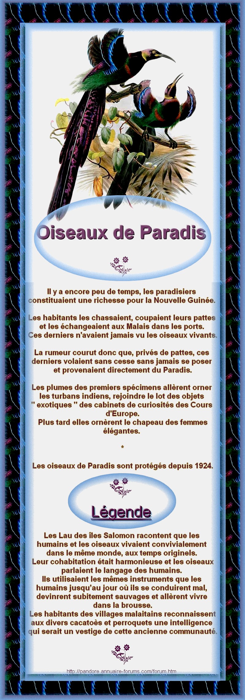OISEAU DE PARADIS - PARADISIER -  MONNAIE D'ECHANGE - LEGENDE 12080211073914929110170664