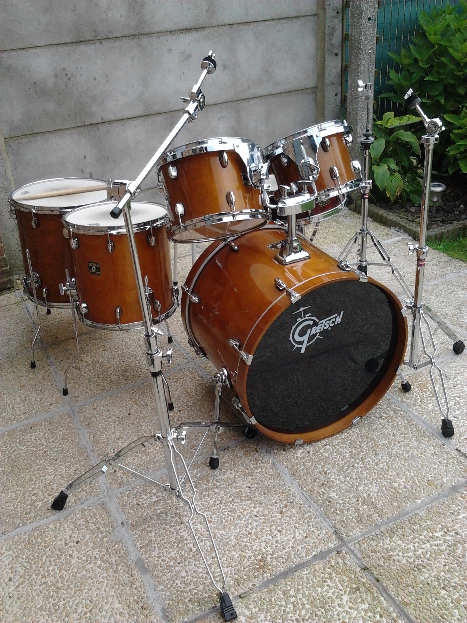 catalina maple (2)