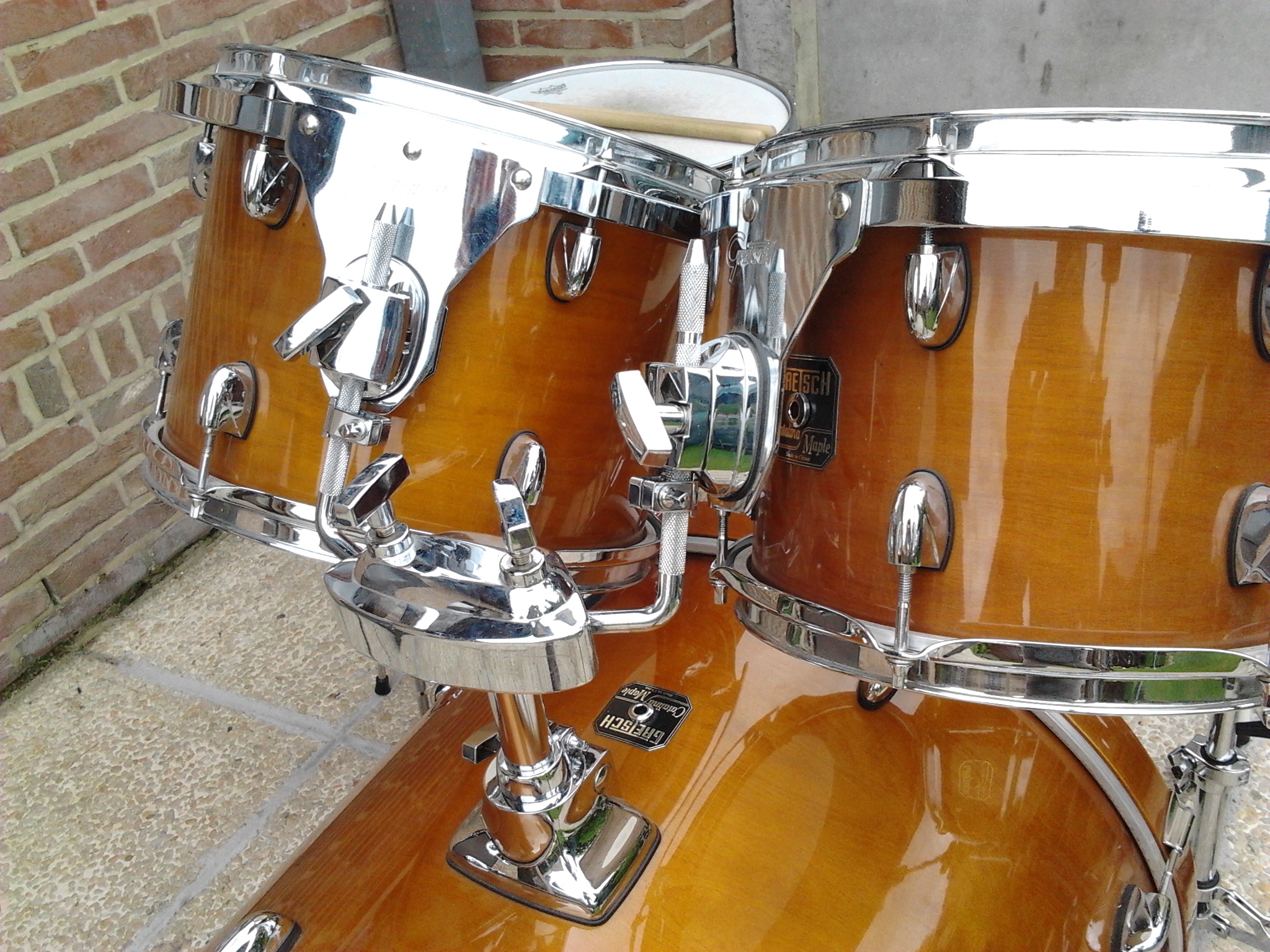 catalina maple (3)