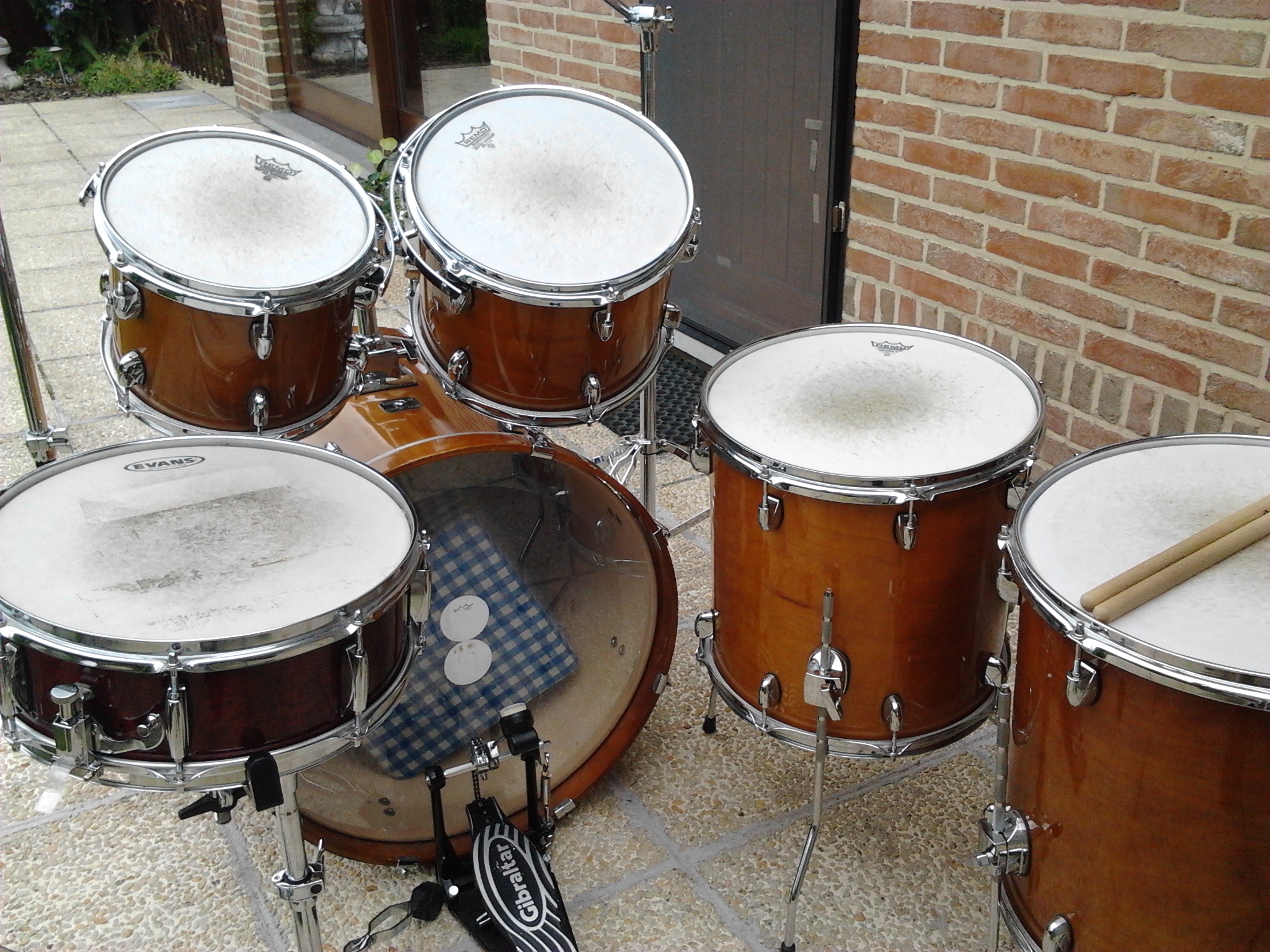 catalina maple(4)
