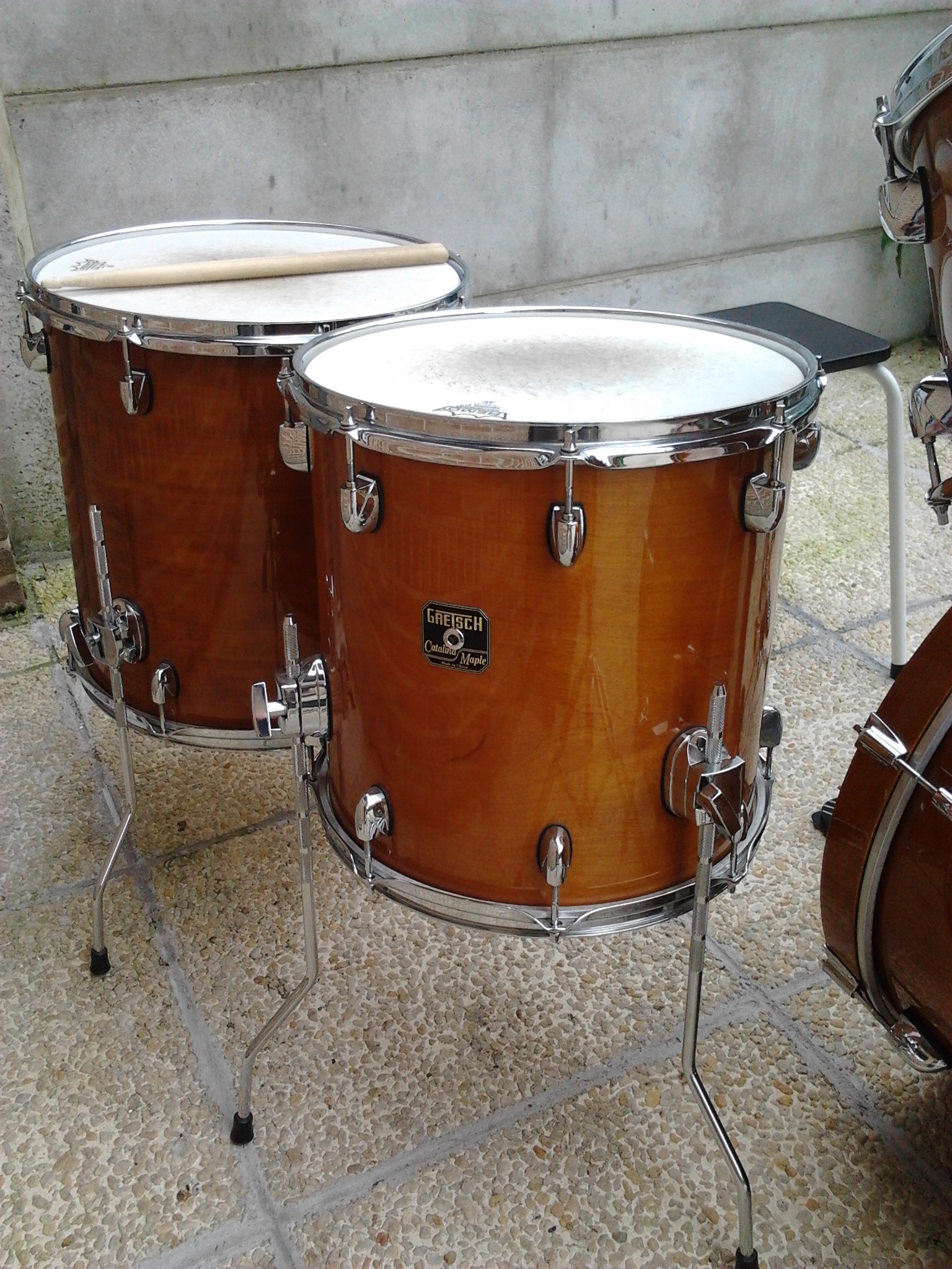 catalina maple(5)