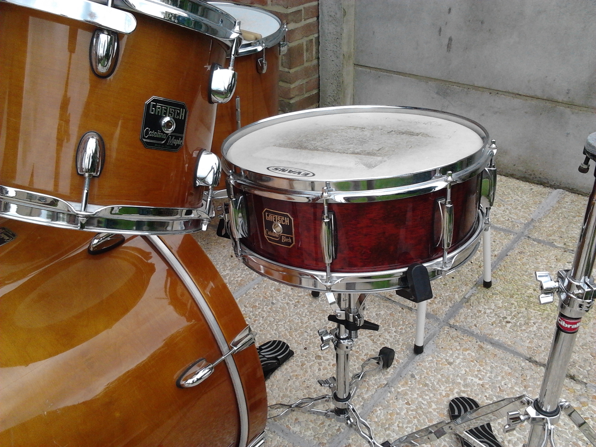 catalina maple (6)