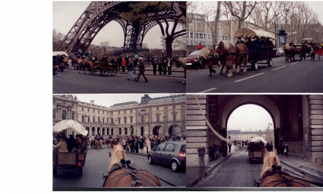 Défilé dans Paris, salon du cheval 2014  12083010185610529710260914