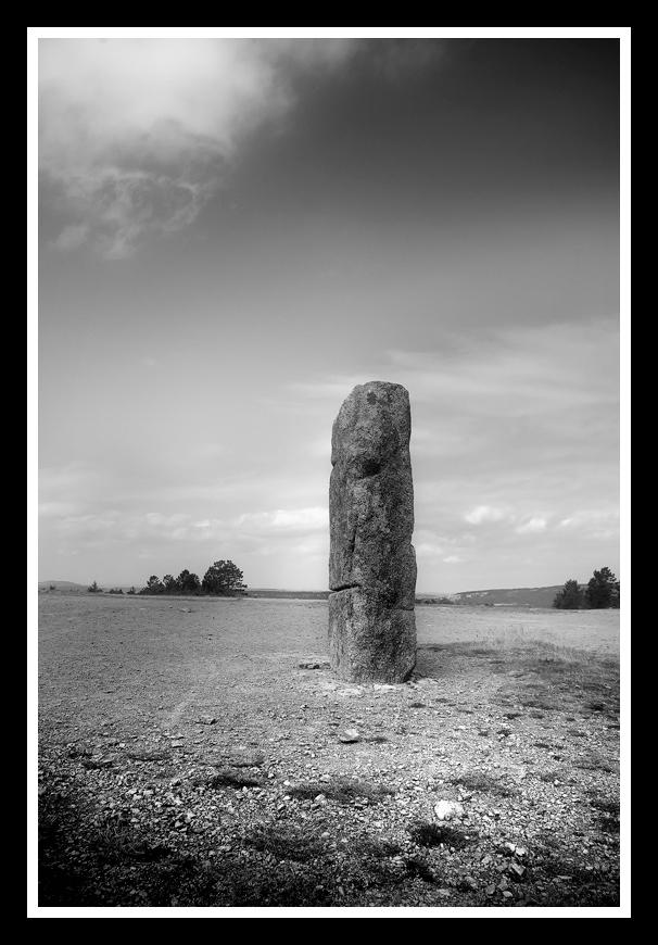 les menhirs du plateau des bondons dans les cevennes 12090610093315174610290699