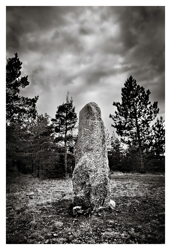 les menhirs du plateau des bondons dans les cevennes 12090610101015174610290701