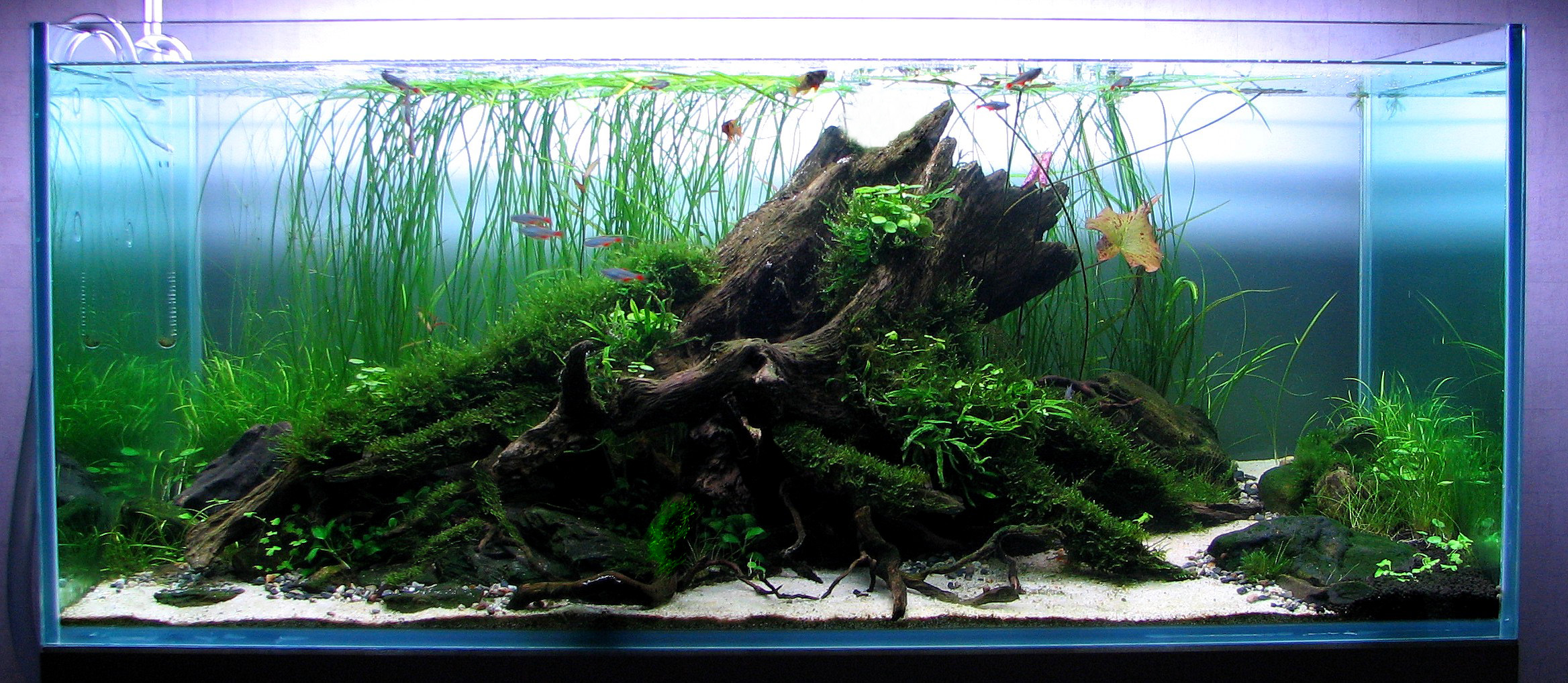 120917104802307453 modif