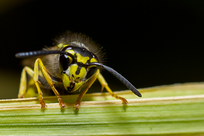 8015868493_87cef9bd20_o