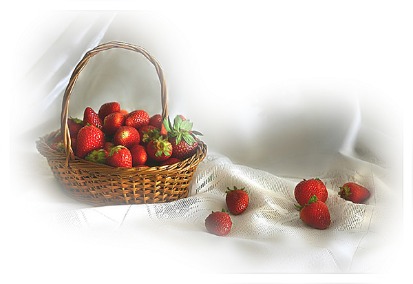 fraises panier 600 412