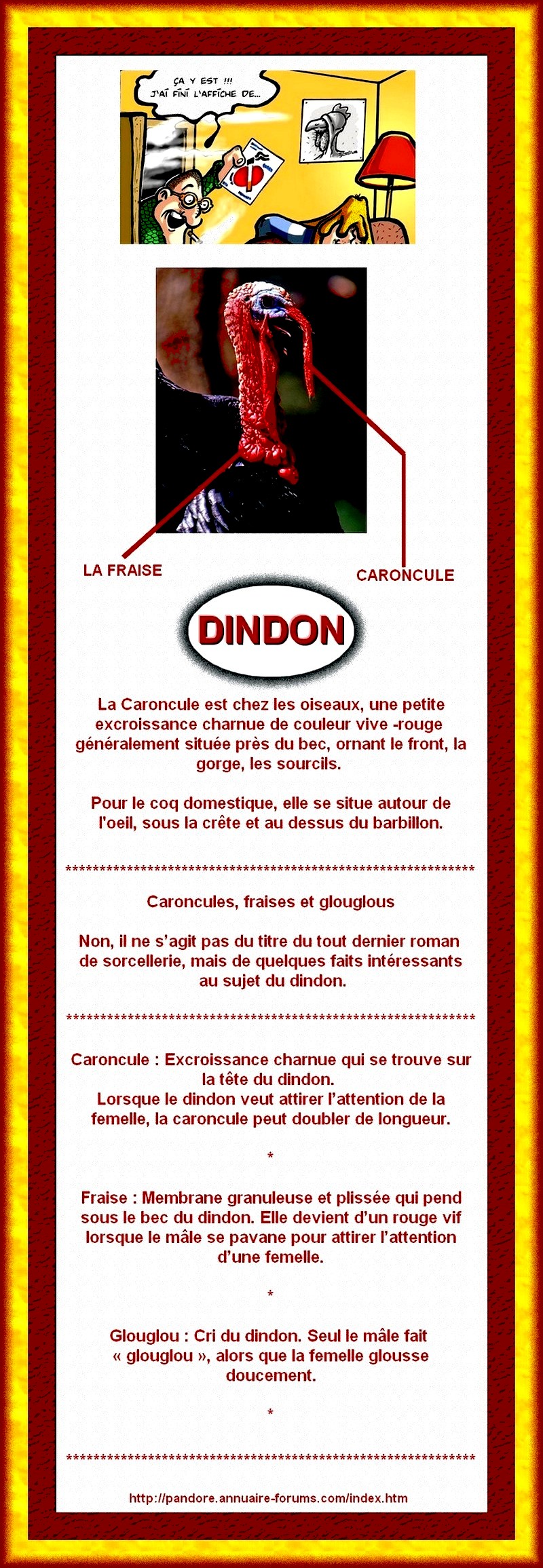 DINDON  -  LA CARONCULE  -  LA FRAISE  -  GLOUGLOU 12100712030015355410405072
